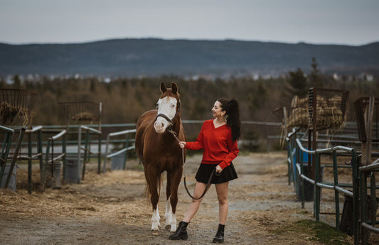 V Neck Sweater | Red