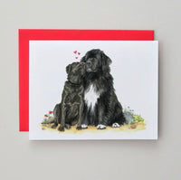 Newfoundland Dog Love Card